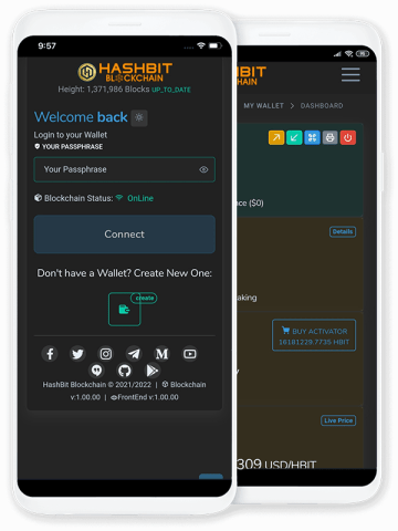 hashbit whatsapp wallet
